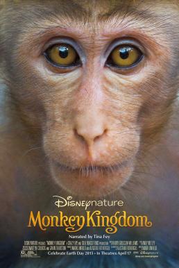 Disneynature: Monkey Kingdom อาณาจักรลิง จากป่าไม้สู่ป่าเมือง (2015) บรรยายไทย